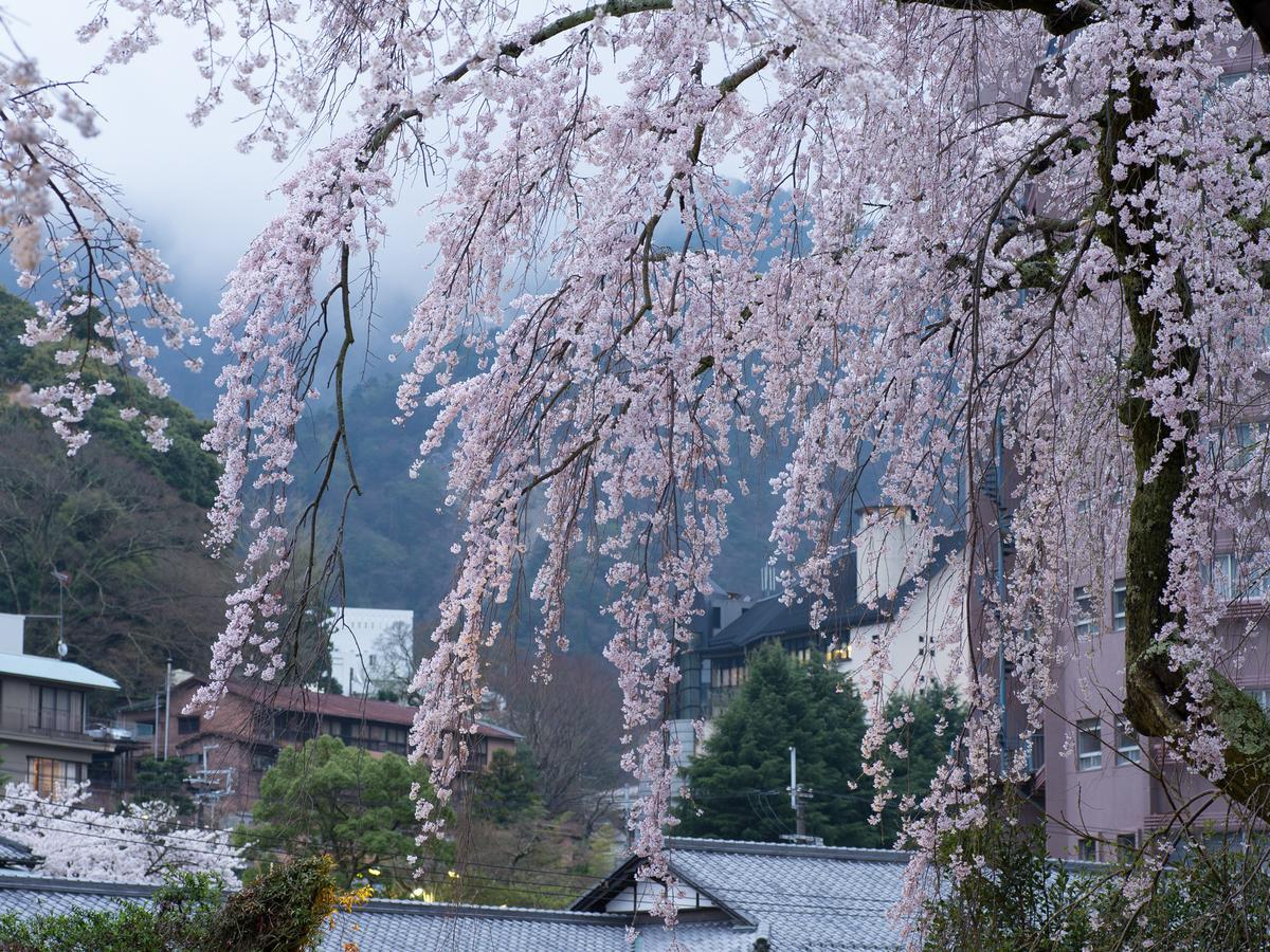 Arima Onsen Motoyu Ryuusenkaku Hotel Кобе Екстериор снимка